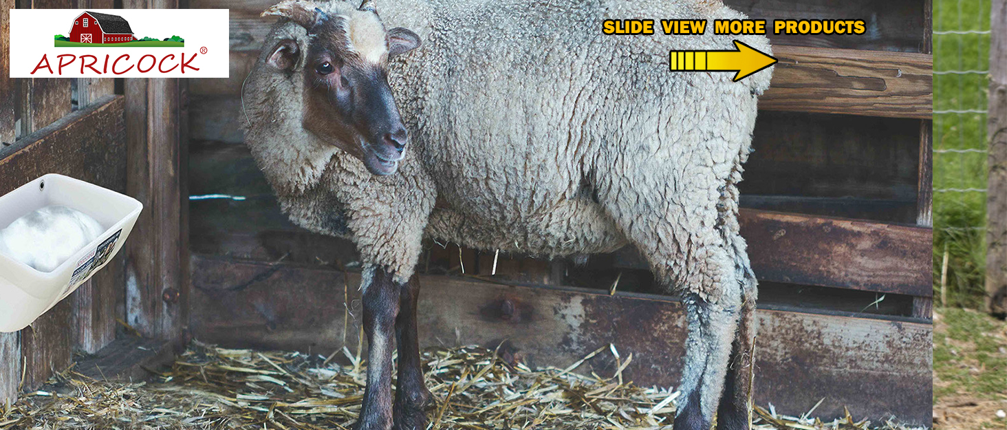 Feed Trough and  Waterer Bucket with Clips for Goat Duck Sheeple Pig Horse Chicken Deer Goose