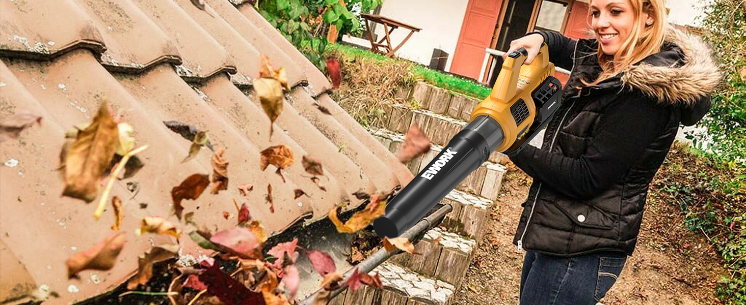 leaf blower cordless with battery and charger