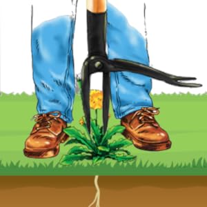 Grampa's Weeder Stand up weed puller tool