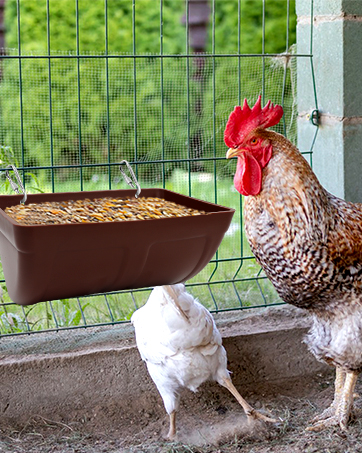 Hanging Chicken Feeder Trough