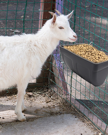 Hanging Chicken Feeder Trough