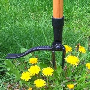 Grampa Remover Control Tool Garden Weeder Lawn Weed Grandpa Puller Manual Stand-Up Dandelion 