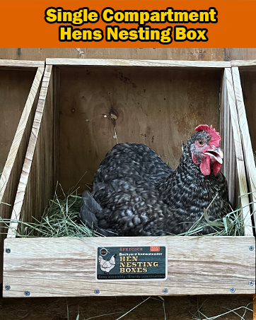 Single Compartment Hens Nesting Box, Chicken Coop Accessories, Wood Nesting Boxes for Up to 5 Hens