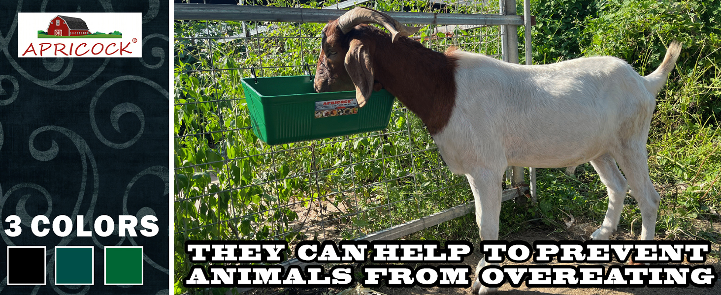 Large feed trough and waterer bucket