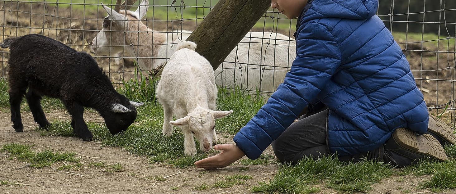 mozoba goat feeding supplies