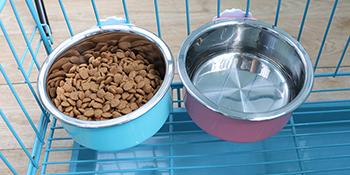 dog crate bowls 2