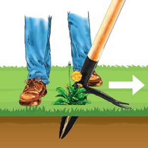 Grampa's Weeder Stand up weed puller tool