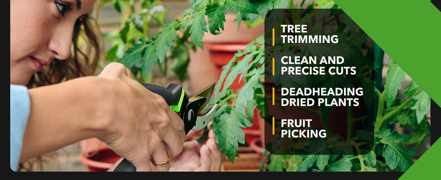 Pruning Shears