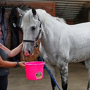 Plastic Bucket Pink