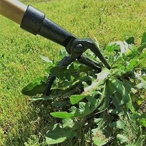 Grampa Remover Control Tool Garden Weeder Lawn Weed Grandpa Puller Manual Stand-Up Dandelion  