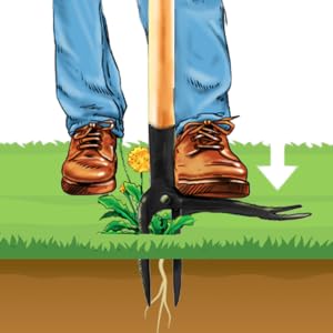 Grampa's Weeder Stand up weed puller tool